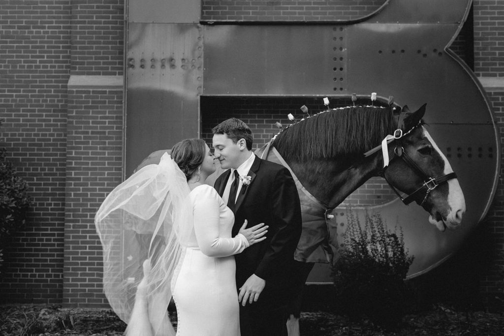 Black and white shot of couple posing infront of Clydesdale horse at Anheuser Busch Brewery