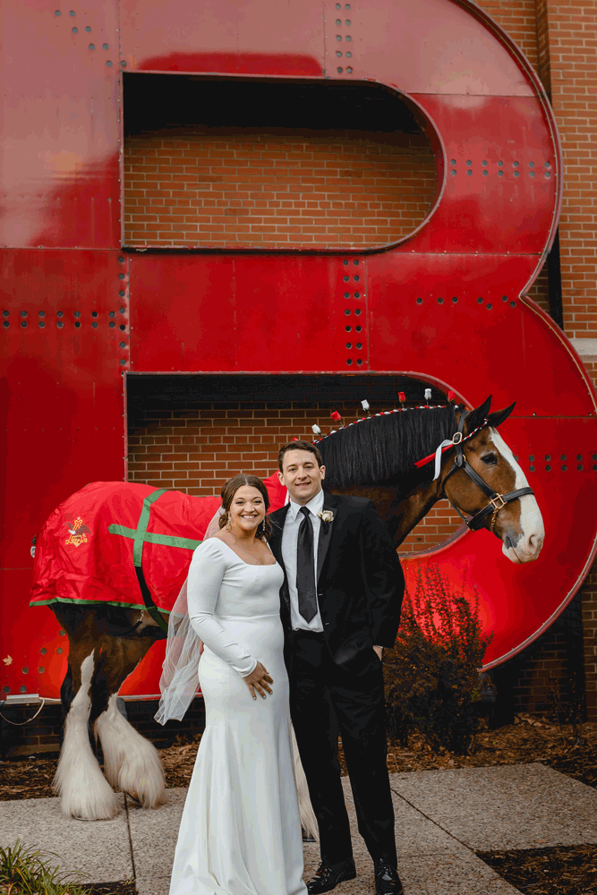 Bride and Groom kissing infront of Clydesdale horse at Anheuser Busch Brewery
