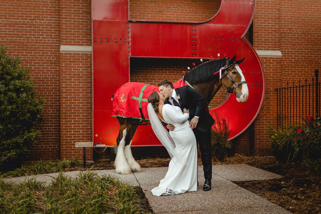 Bride and Groom kissing infront of Clydesdale horse at Anheuser Busch Brewery