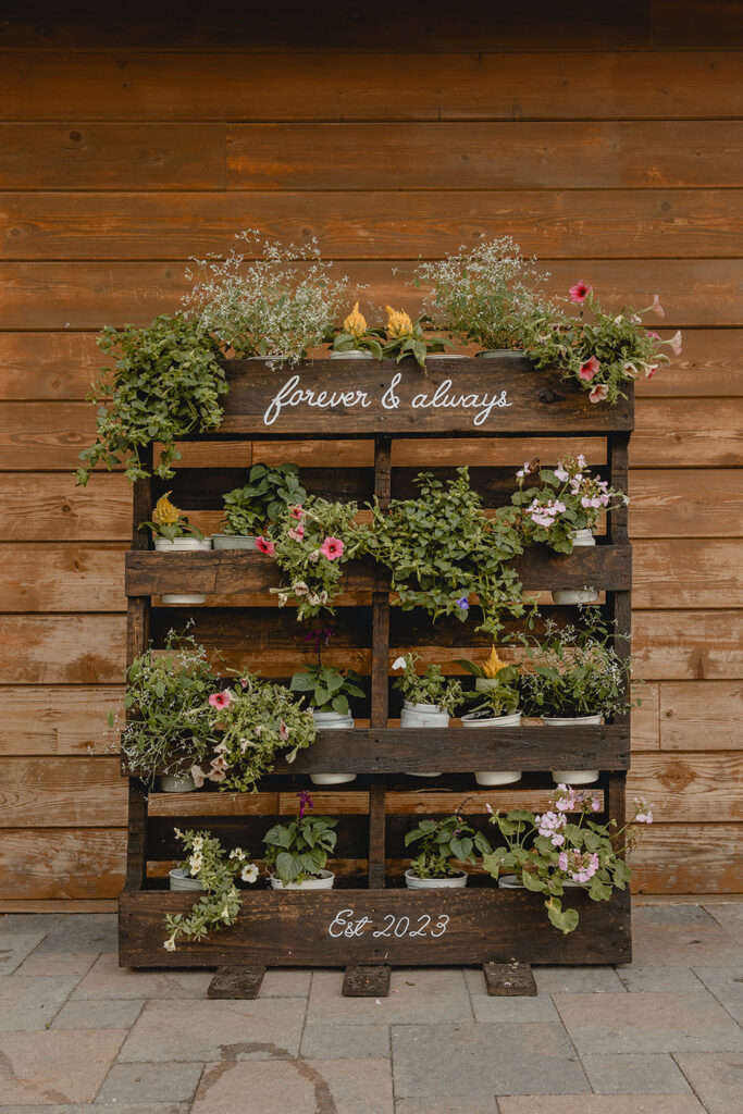full view of a wooden palette-turned planter covered with plants and greenery with 'forever & always' painted in white at the top