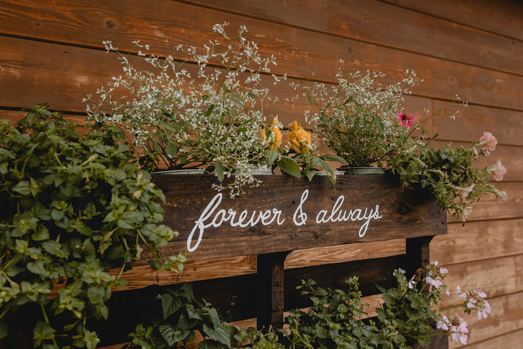 close up of a wooden palette-turned planter covered with plants and greenery with 'forever & always' painted in white at the top