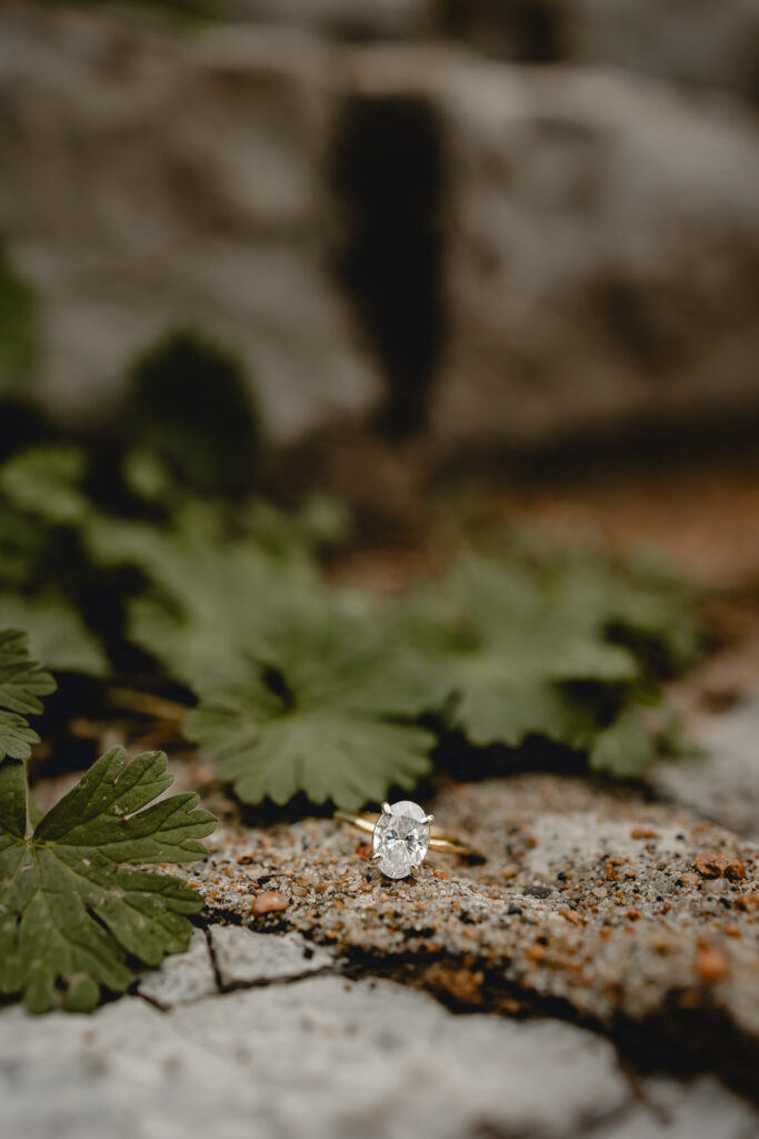 gold oval diamond engagement ring sits on textured concrete and wild greenery