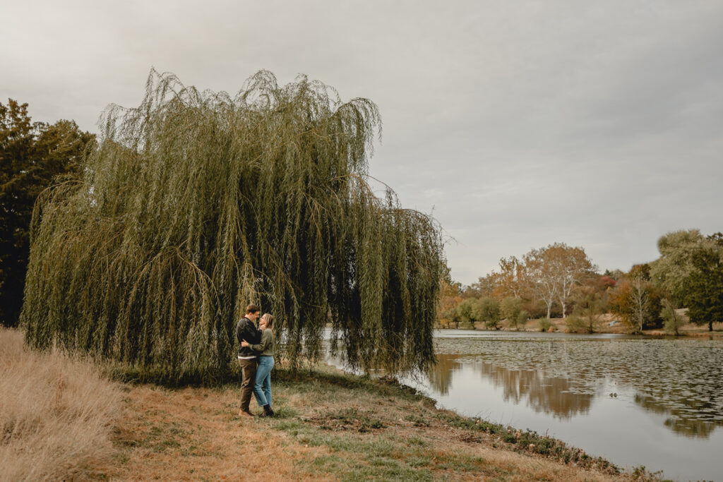 couple embracing in front of a romantic full willow tree on the edge of a large pond