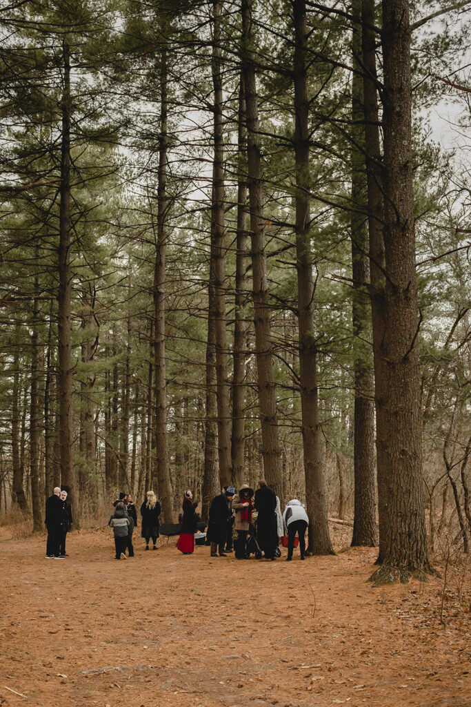 far shots of a small group of people huddled together in a super tall grove of pine trees