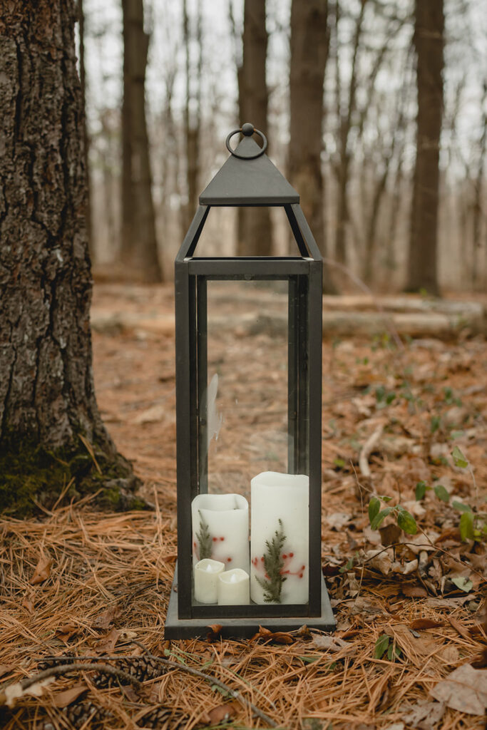 a tall metal lantern with Christmas candles inside sits on a bed of pine needles beside the base of a pine tree