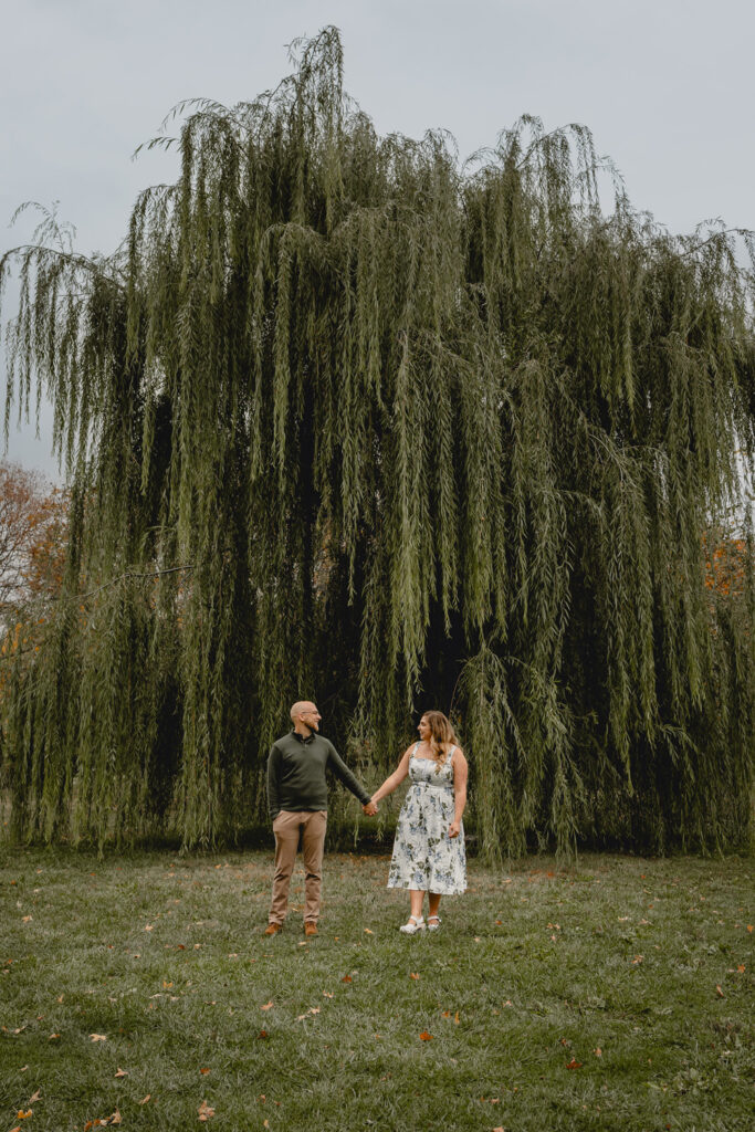 tall far shot of couple holding hands and looking towards each other centered in front of a tall willow tree