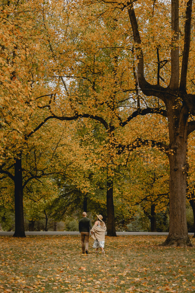 far shot of a couple holding hands and walking away from the camera through yellow-leaf covered trees