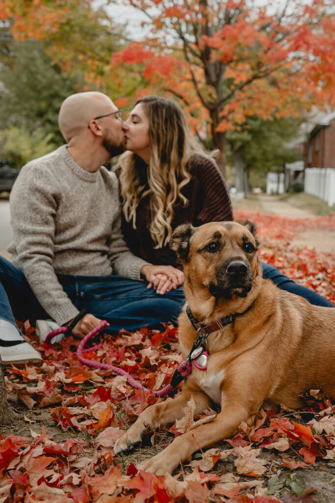 young blurry couple seated on a pile of fall leaves kiss as their dog sits stoically in focus for the camera