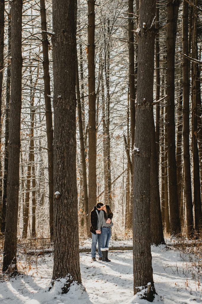 far shot of a couple framed between two tall pine tree trunks in a snowy scene